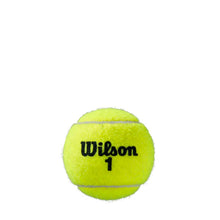 Load image into Gallery viewer, Wilson Roland Garros Tennis Balls Bottle WS
